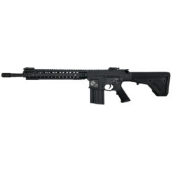 E&C SR AEG DMR .